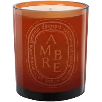 Diptyque Ambre Scented Candle