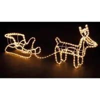 Decorative Lighting Slangverlichting rendierslee