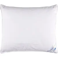 Vandyck Hoofdkussen Kapok Silver Stevig (60 x 70 cm)