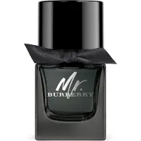 Burberry Herengeuren Mr. Burberry Eau de Parfum Spray 50 ml