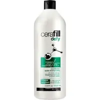 Redken Cerafill Defy Conditioner 1000 Ml