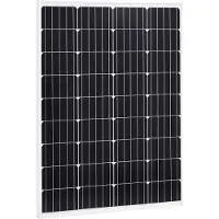 vidaXL Zonnepanelen 2 st 100 W monokristallijn aluminium en glas