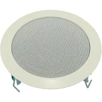 Visaton DL 18/2 - 100 V Plafondluidspreker 70 W 100 V Wit 1 stuk(s)