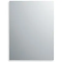 Plieger Divers spiegel 40x80cm rechthoekig 5mm