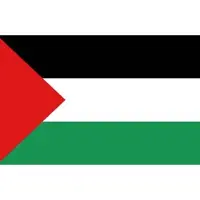 Fostex vlag Palestina, Palestijnse vlag