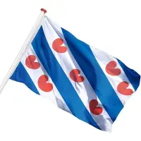 Talamex Friese vlag