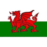 Fostex Vlag Wales