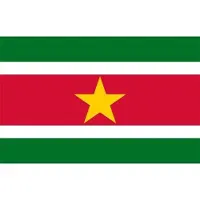Fostex vlag Suriname, Surinaamse vlag