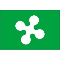Fostex vlag Lombardy