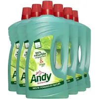 ANDY 6x Allesreiniger Vertrouwd 1 Liter