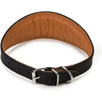 Beeztees BZ WINDHOND HALSBAND RONDO ZWART 50 (50, Hond, Hondensport)