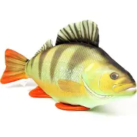 Gaby Het Perch Medium Kussen