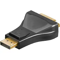 Wentronic DisplayPort naar DVI adapter – Full HD @ 60 Hz