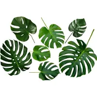VAN IKKE Muursticker Monstera blad
