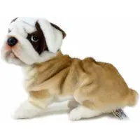 Anima Hansa knuffel Bulldog hond - 30 cm - pluche - knuffeldier - hondenknuffel - kwalitatief - realistisch