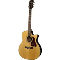 Richwood Akoestische gitaar grand auditorium G-65-CEVA