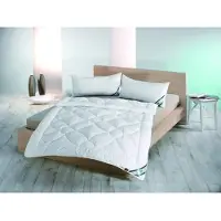 Frankenstolz Dekbed enkel Thinsulate