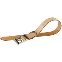 Ferplast hondenhalsband Natural 47-55 x 2,5 cm kunstleer bruin