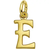 The Jewelry Collection Hanger Letter E - Goud