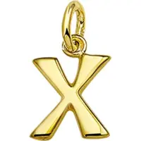 The Jewelry Collection Bedel Letter X - Goud