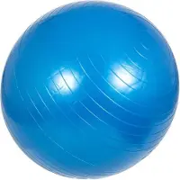 Gorilla Sports Fitnessbal Blauw 75 cm incl. pomp