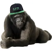 VAN IKKE Muursticker Gorilla