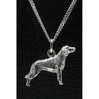 MOOYE ® - Collectie Zilveren Duitse staander langhaar ketting hanger - groot