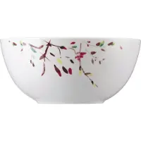 Rosenthal Arzberg-Ramo-Slakom-21 cm