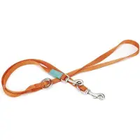 Beeztees Uni - Hondenriem - Oranje - 200 cm x 20 mm