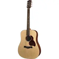 Richwood Akoestische gitaar dreadnought D-20