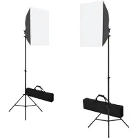 vidaXL Professionele studiolampen 2 st 40x60 cm staal zwart