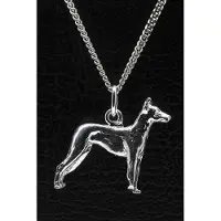 MOOYE ® - Collectie Zilveren Mexikaanse naakthond ketting hanger - groot