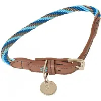 Lief! Halsband Hond