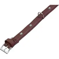 Karlie buffalo deco halsband bruin