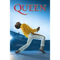 POsterpoint Freddie Mercury poster - Queen - live - Wembley - 61 x 91.5 cm