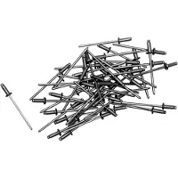 Van spijk Blindklinknagels - 3 x 10 mm