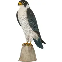 Wildlife Garden DecoBird - Slechtvalk