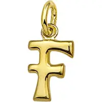 The Jewelry Collection Hanger Letter F - Goud