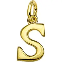 The Jewelry Collection Hanger Letter S - Goud