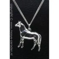 MOOYE ® - Collectie Zilveren Arabier massief groot ketting hanger