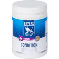 Beyers 6x Condition 600 gr