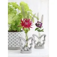 Packlinq Cement Basis Vlinder met Glazen Buis 10x14cm 4cm diep (1 stuks)