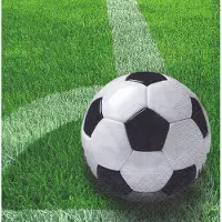 Papstar Servetten voetbal - 20 stuks