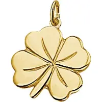 Trendjuwelier huiscollectie 4005606 Gouden bedel klaver