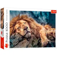 Trefl Puzzle - Lion endormi, 1000 pièces
