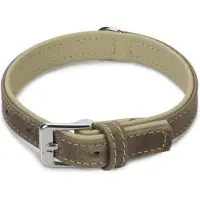 Beeztees BZ LEREN KRAAG COMFORT GRIJS 35 (35, Hond, Hondensport)