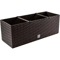 Prosperplast Terra Rato Rectangular 17l 52x20x19 Cm Plantenbak