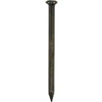 Don quichotte DQ stalen nagel 2.0x25mm bkv (100st)