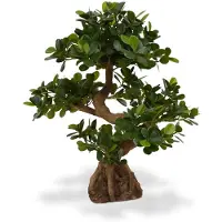 Maxifleur Kunstplanten Panda Bonsai 70 cm op voet