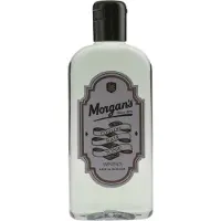 Morgan's Cooling Hair Tonic 250 ml